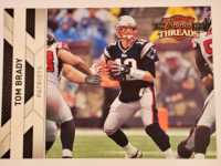 Tom Brady Panini 2010 #87