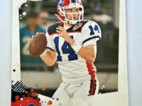 Ryan Fitzpatrick Score 2010 #29