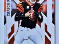 Carson Palmer Panini 2010 EPIX #19