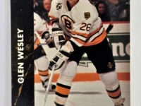 Glen Wesley Parkhurst 1991 Card #5